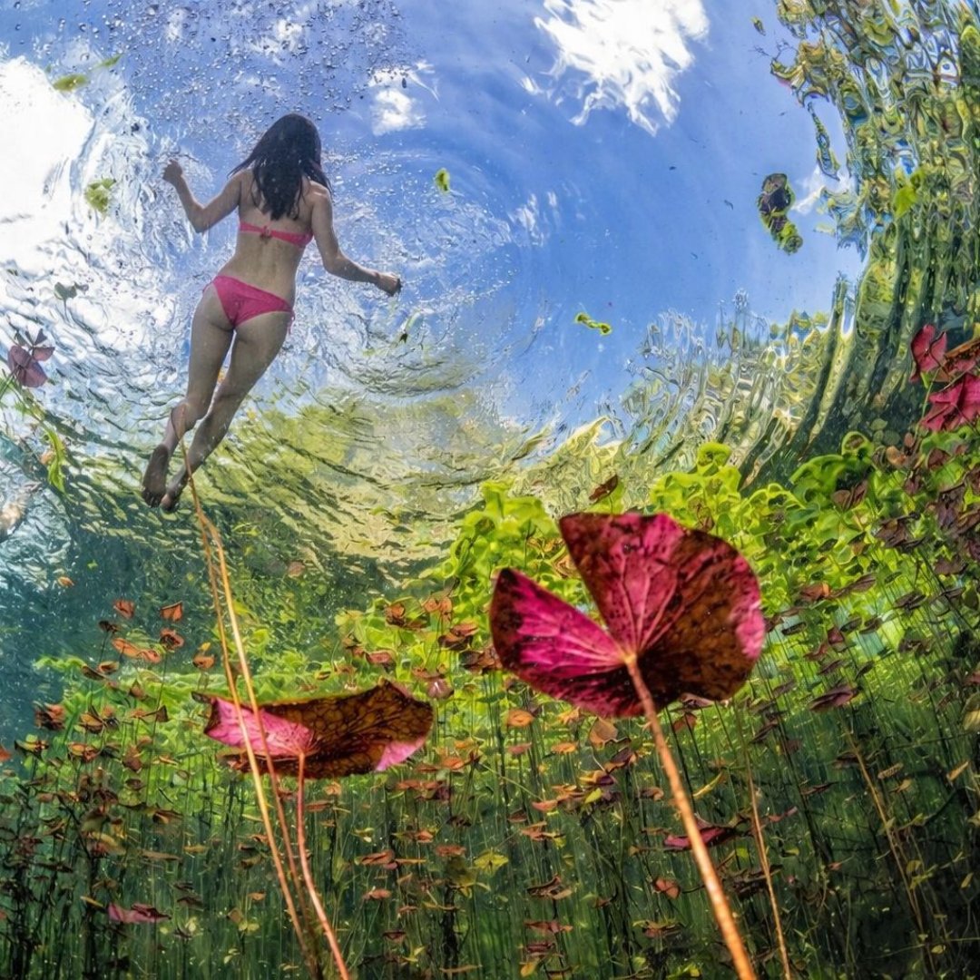 Save 22% at Cenote Sol y Luna for Locals — Hacienda Sol & Luna