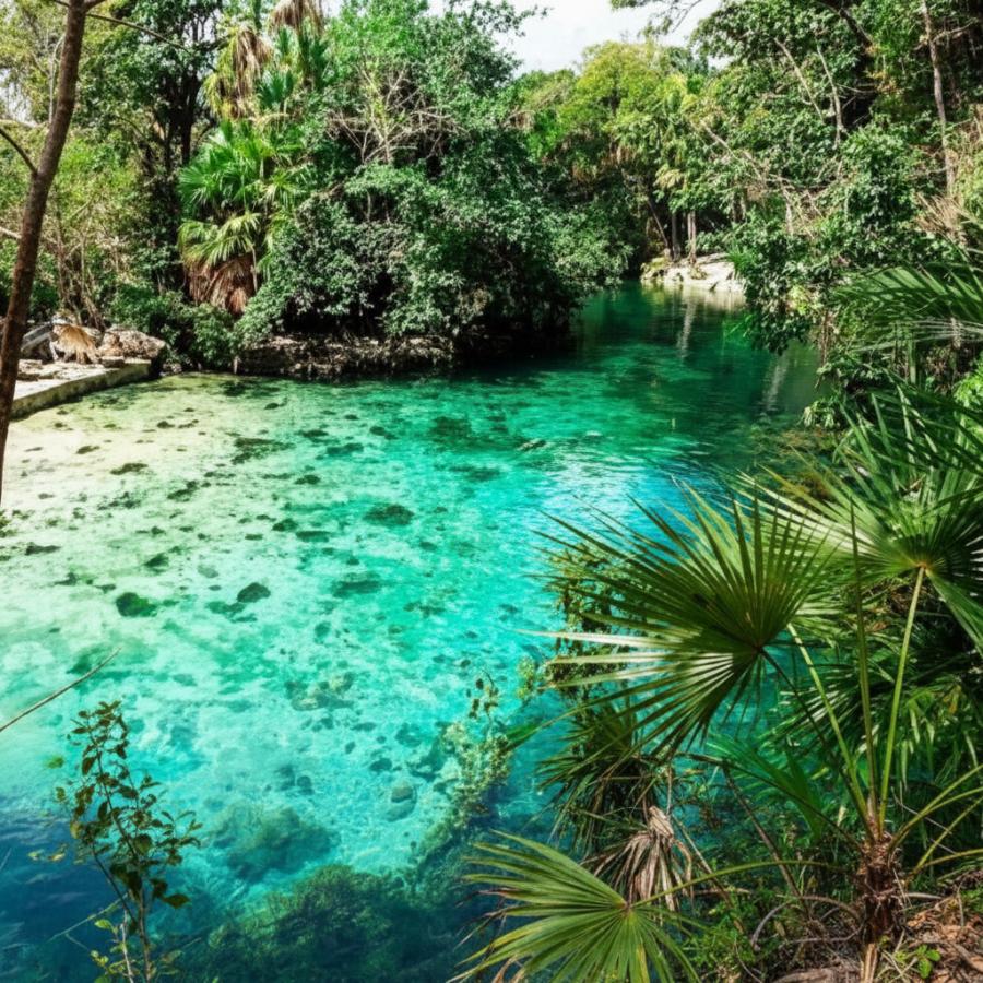 Cenote Yax-Kin por solo $150 MXN (para residentes locales) 💧