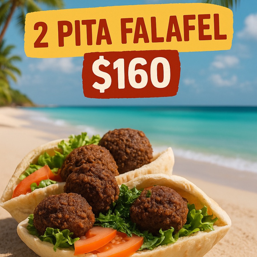 2 falafel de pita * 160